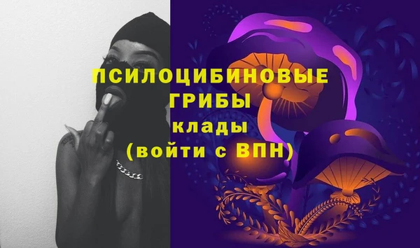 jwh Гусь-Хрустальный