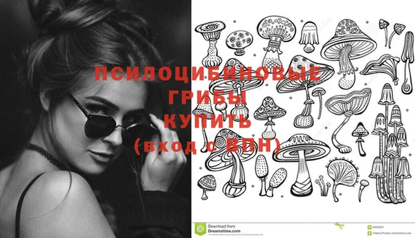 мескалин Гусиноозёрск
