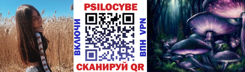 Псилоцибиновые грибы мицелий  Купить  Томмот 